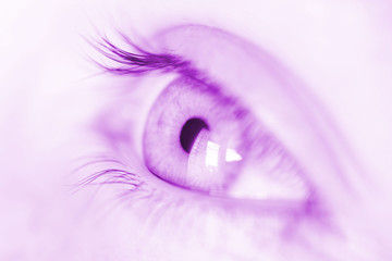oeil violet