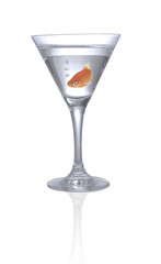 lonely goldfish