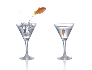 jumping goldfish