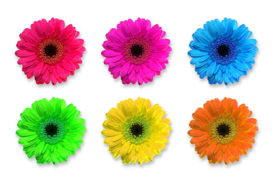 blumen