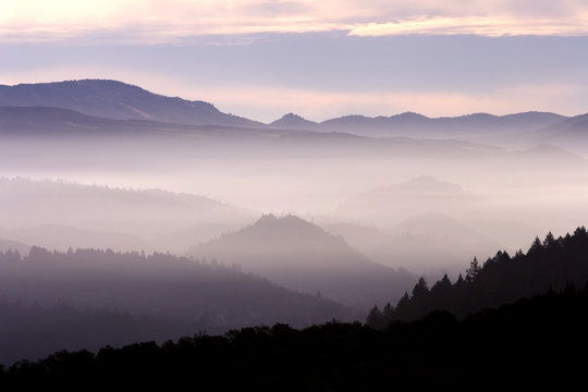 Fototapeta fog landscape