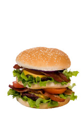 hamburger series (bacon cheeseburger whole)
