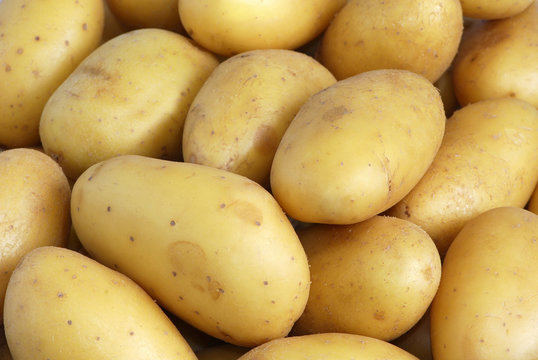 pomme de terre charlotte