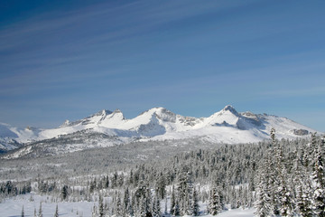 Fototapeta premium winter in the mountains 2