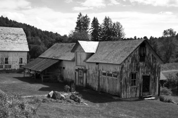 Obraz premium apple barn