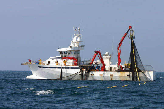 Fototapeta la pêche au thon-5