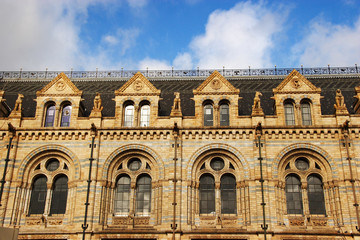 Fototapeta na wymiar natural history museum - windows on top floors