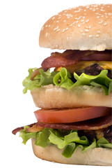hamburger series 011