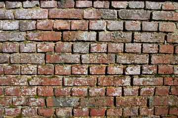 vieux mur de briques