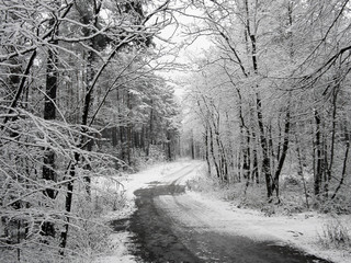 winter scenic