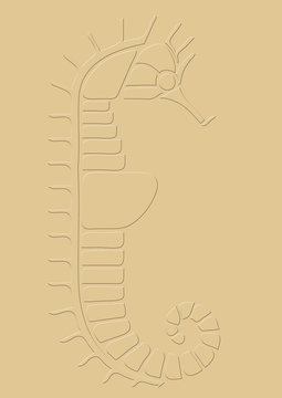 hippocampe