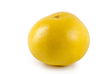 grapefruit on a white background
