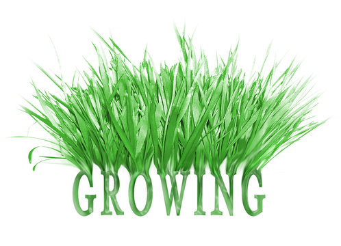 thriving growing grass word