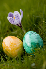 ostereier und frühlingsblumen