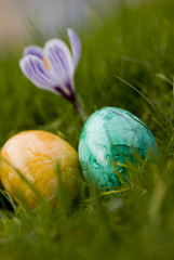 ostereier und frühlingsblumen
