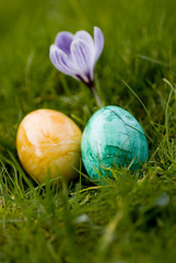 ostereier und frühlingsblumen