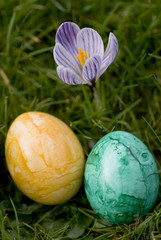 ostereier und frühlingsblumen