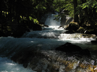 nemo creek