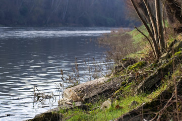 les berges de la garonne