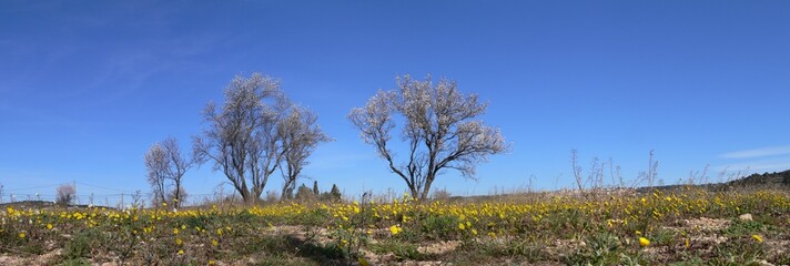 panorama de provence