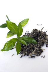 Fototapeta na wymiar zielona herbata
