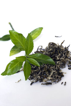 green tea
