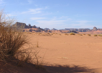 Fototapeta na wymiar paysage du sahara