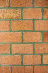 brick wall