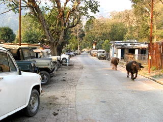 Stoff pro Meter street of rishikesh © O'SHI
