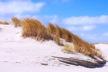 sand dunes