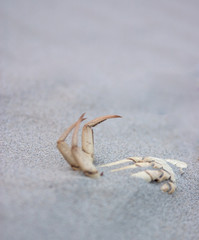 the end