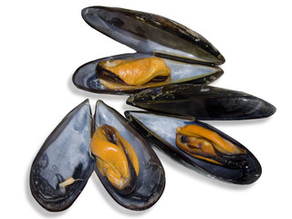 cozze