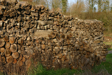 rondins de bois