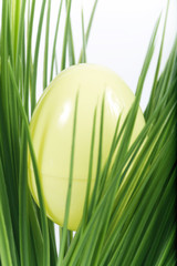 hidden egg