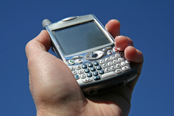 hand holding cell phone