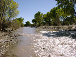 san pedro river