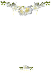 Fototapeta premium border fressia