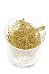 traditional chinese medicine - ginseng roots (panax ginseng)