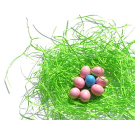 easter eggs in grass