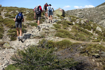 Fototapeta premium randonneurs en montagne