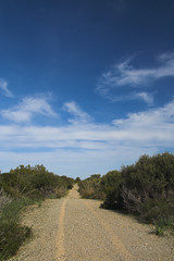 country road under blue sky
