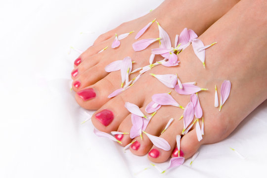 woman legs in lilac petals