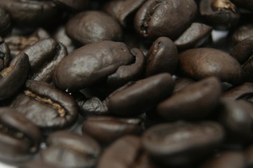 coffee beans