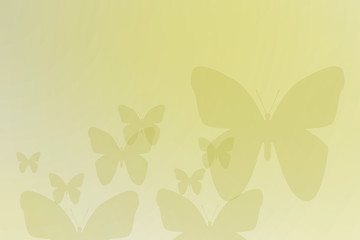 butterfly experience