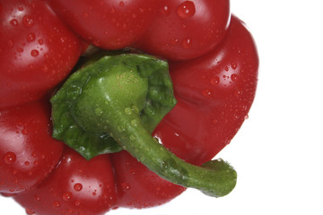 paprika