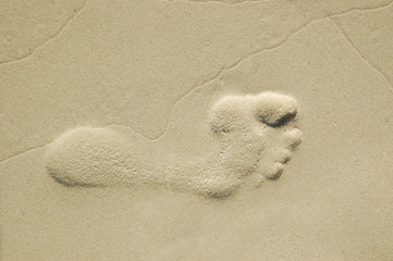 foot