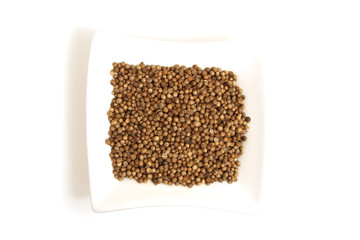 black coriander in square white bowl isolated