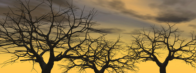 dead_sunset_tree2