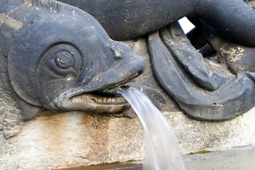 fischspeier