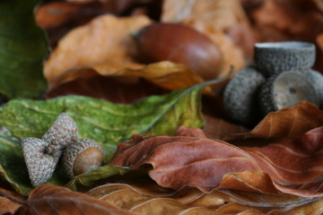 herbst